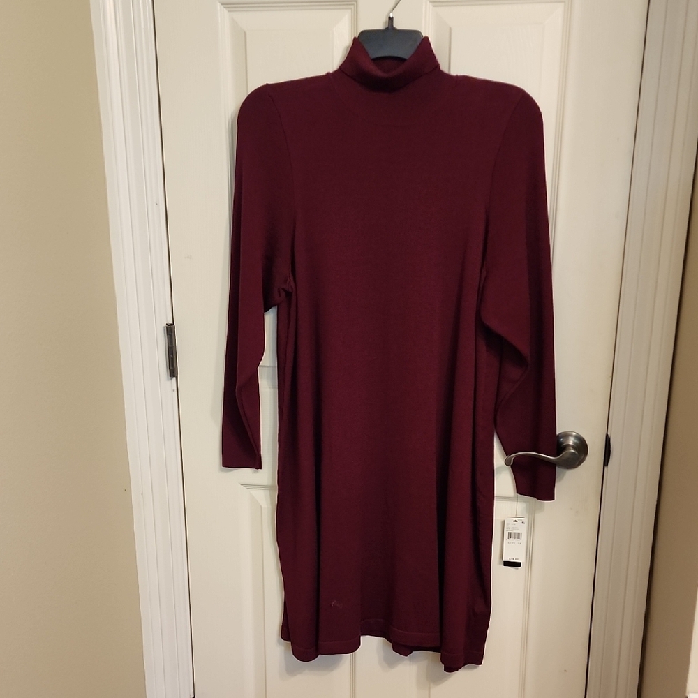 AGB Burgundy Turtleneck Dress
